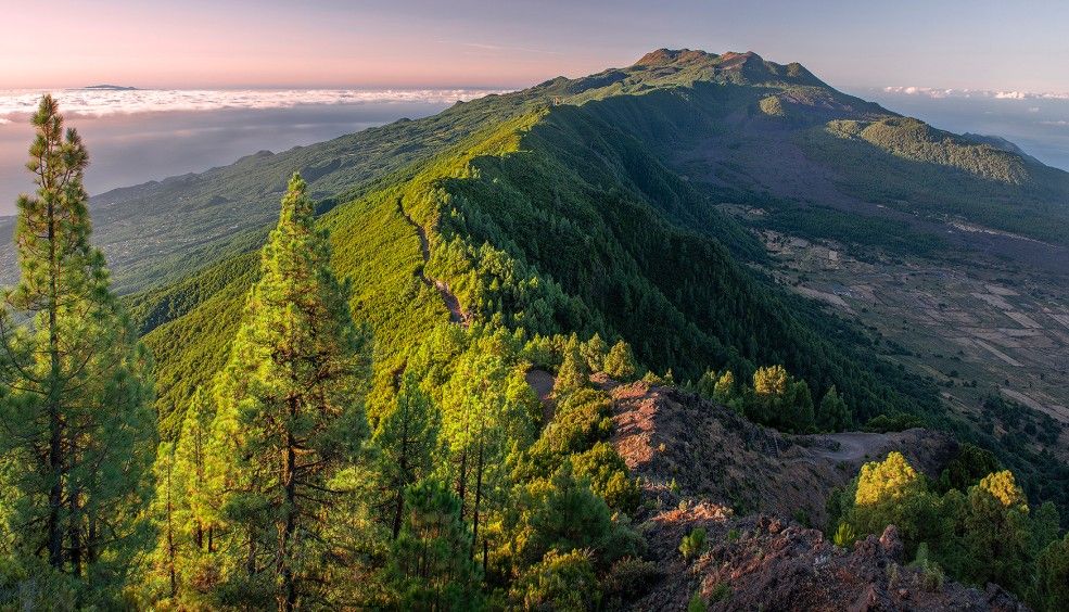 Vista de La Palma